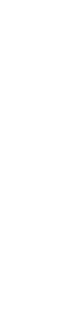 海外販売事業